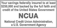 Your savings federally insured to at least $250,000 and backed by the full faith and credit of the United States Government. NCUA, National Credit Union Administration, a U.S. Government Agency.